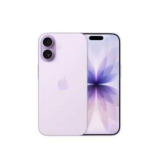 Apple APIPHONE17256GBLA