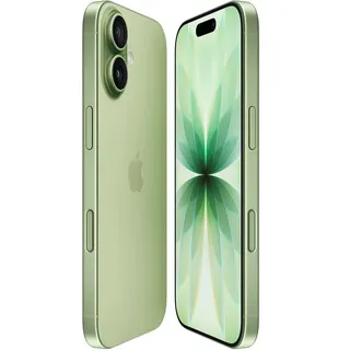 Apple APIPHONE17256GBV